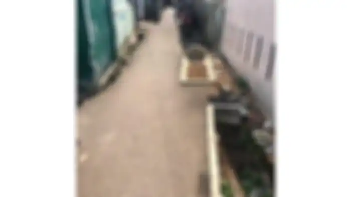 viral makam di tengah jalan