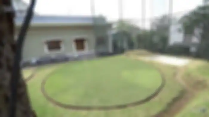 Lapangan golf di dalam rumah Aleta Molly