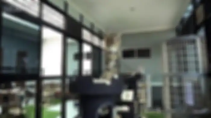 Rumah kucing di kediaman Aleta Molly