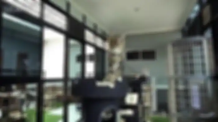 Rumah kucing di rumah Aleta Molly