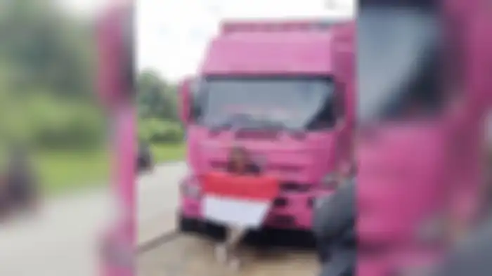 Devi Stefany perempuan tangguh supir truk pink 