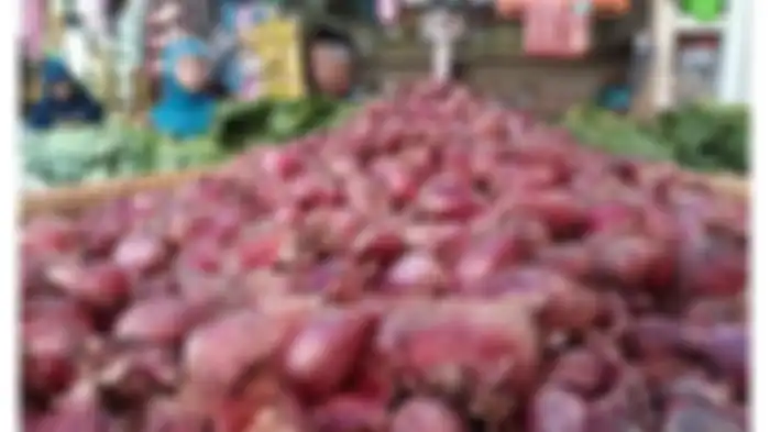 Ilustrasi Bawang Merah 