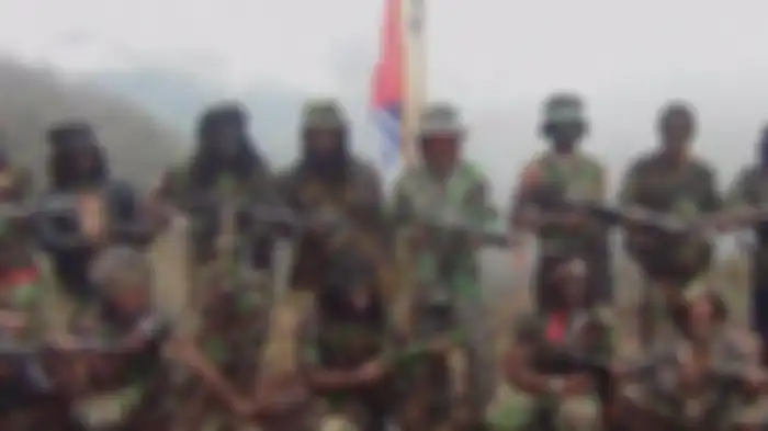 Organisasi Papua Merdeka (OPM).