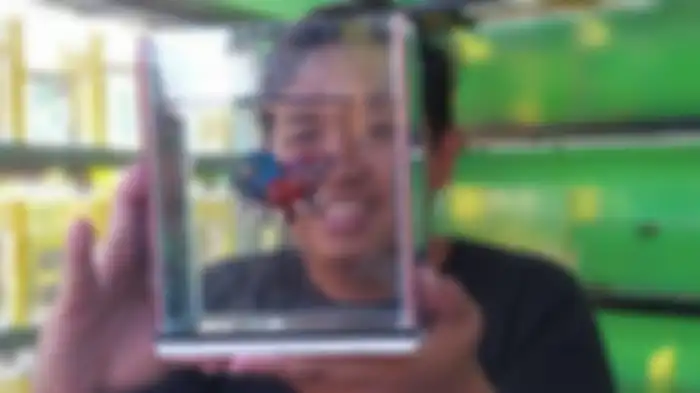 Arnovian Pratikna warga Kota Madiun meraih omzet puluhan juta Rupiah dari bisnis ikan cupang. 