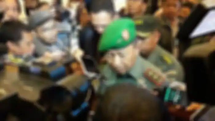 Letjen TNI Tri Soewandono, Ketua Tim Pengarah TGPF Kasus Kebrutalan KKB Papua.
