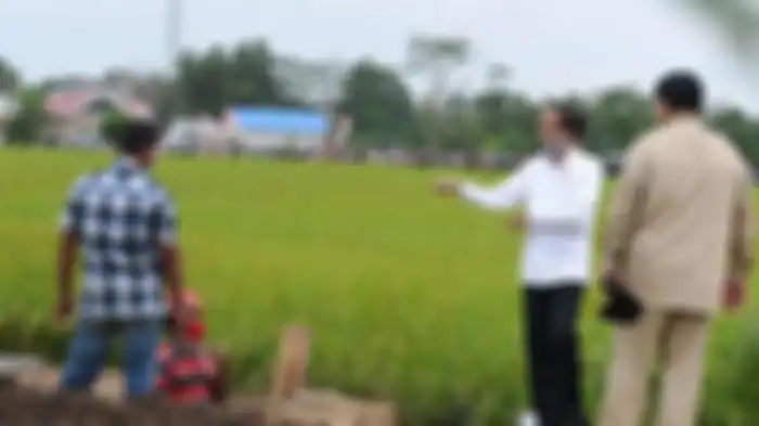 Presiden Joko Widodo (kedua kanan) didampingi Menteri Pertahanan Prabowo Subianto (kanan) meninjau lahan yang akan dijadikan Food Estate atau lumbung pangan baru di Pulang Pisau, Kalimantan Tengah, Kamis (9/7/2020). Pemerintah menyiapkan lumbung pangan nasional untuk mengantisipasi krisis pangan dun