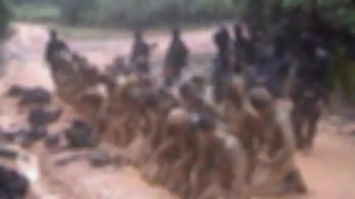Gambar pelatihan Kopassus.