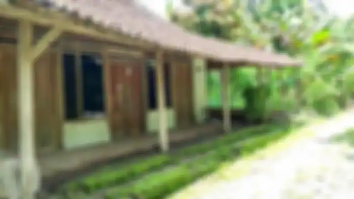 Kondisi Kampung Sumbulan di Desa Plalangan, Kecamatan Jenangan, Kabupaten Ponorogo yang sepi tak berpenghuni
