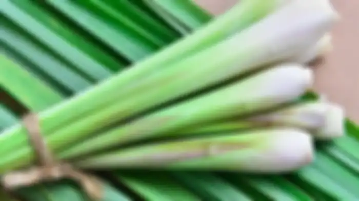 Daun serai