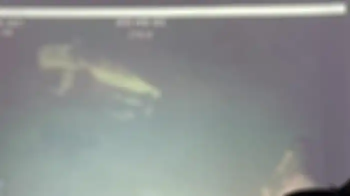 Gambar dari kamera kapal MV Swift Rescue, ditangkap di kedalaman 838m.
