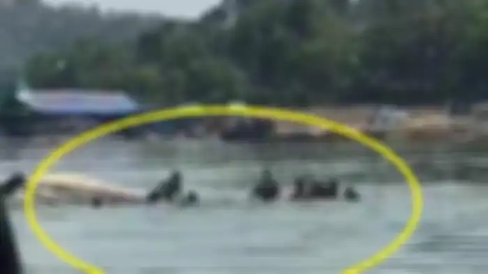 Ingin foto selfie dengan warung apung, perahu yang ditumpangi 20 wisatawan di Wadung Kedung Ombo di Boyolali terbalik pada Sabtu (15/5/2021). Wisata lebaran berujung pilu. 