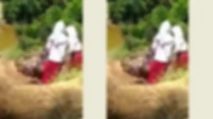 Tangkapan layar video viral 3 bocah SD gelantungan sebrangi sungai untuk berangkat ke sekolah