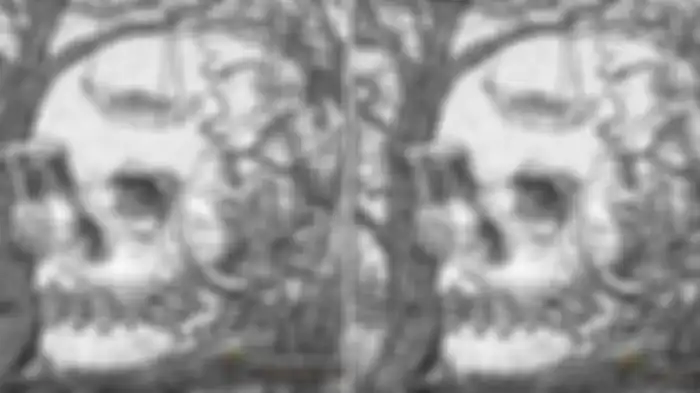 Simak gambar ini dan apa yang Anda lihat pertama kali? 