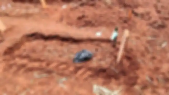 Sejumlah makam Covid-19 amblas di TPU Pasir Putih, Sawangan, Kota Depok. Dari pantauan di lokasi, sekiranya ada lebih dari 10 makam pasien Covid-19 yang amblas beberapa centimeter ke bawah. 