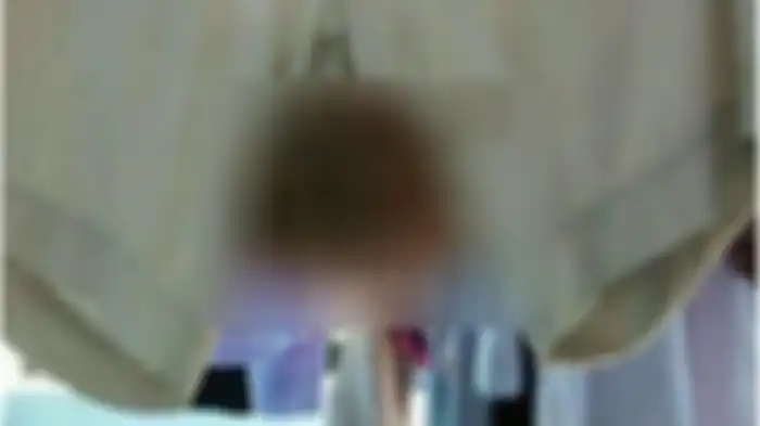 Sarang lebah ada di celana yang tergantung di kos-kosan