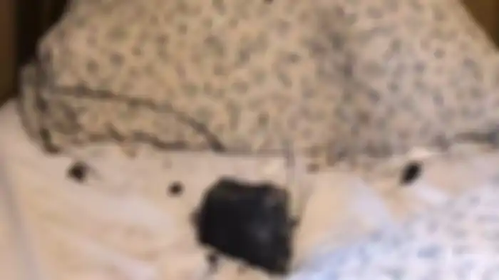 Batu meteor yang jatuh tepat di samping bantal Ruth Hamilton ketika tidur. Peristiwa ini terjadi di Golden, British Columbia, Kanada, pada Senin (4/10/2021). 