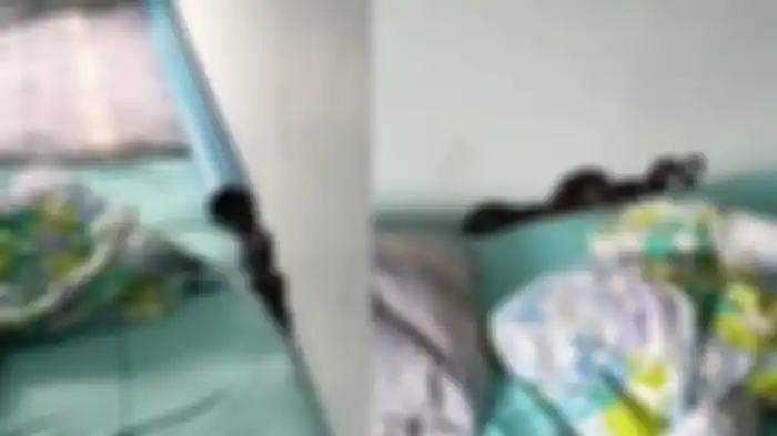 Ular hitam di bawah tempat tidur anak-anak ibu Nattawasee Phukaopanich 