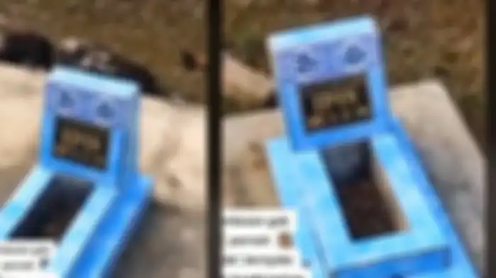 Video yang memperlihatkan makam yang diduga tempat Upin dan Ipin disemayamkan.