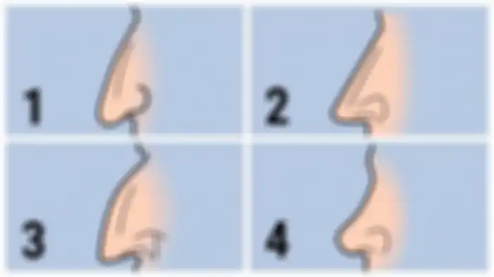Tes kepribadian bentuk hidung 