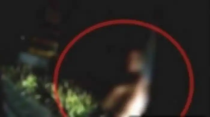 Seorang wanita ditemukan telanjang di pinggir jalan saat tengah malam.