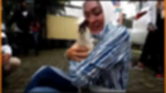 Ayam peliharaan Angelina Sondakh