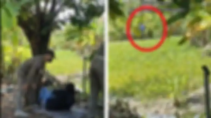 Seorang wanita ditinggal pacarnya saat didatangi Satpol PP