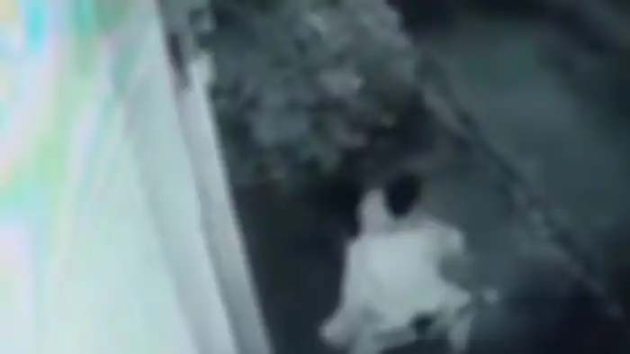 Aksi mesum pria dan wanita di atas motor terekam CCTV