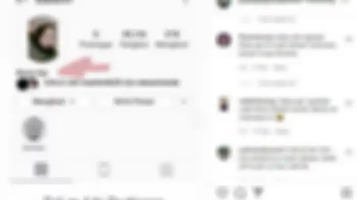 Bio Instagram Susi Latifah