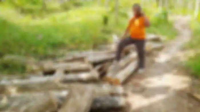 Petugas Polhut Blitar mengamankan puluhan batang kayu jati curian.