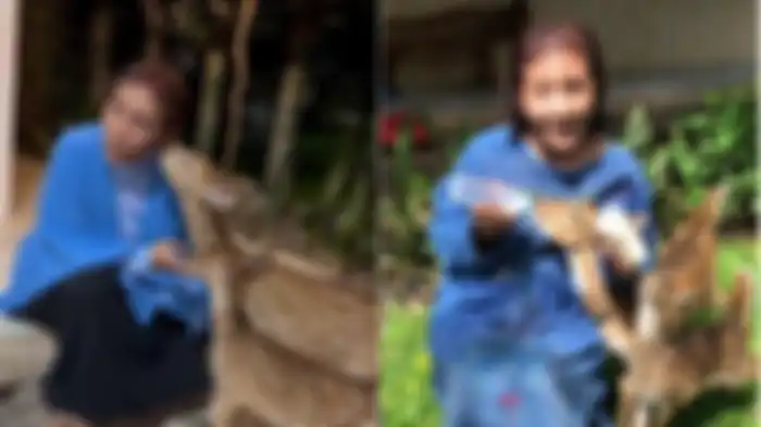 Susi bagikan momen saat bersama rusa-rusa perliharaannya. 