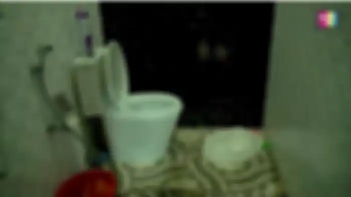 Kondisi toilet di rumah Ayu Ting Ting 