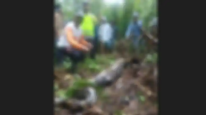 Zahra meninggal dunia lantaran dimangsa ular piton.