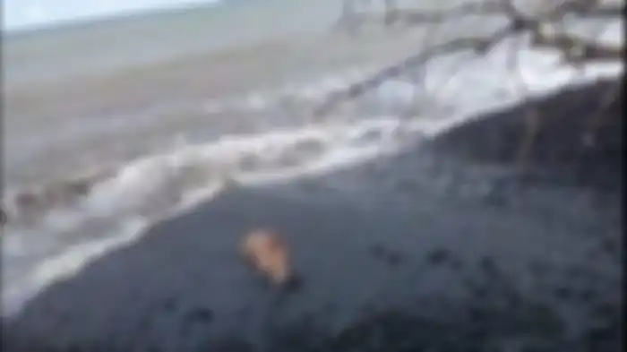 Mayat perempuan tanpa busana ditemukan di tepi Pantai Maruni, Distrik Manokwari Selatan, Kabupaten Manokwari, Papua Barat, Rabu (29/3/2023).