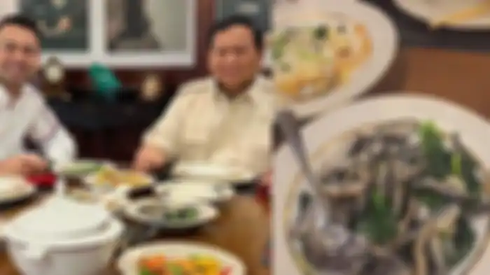 Menu makan siang Raffi Ahmad dan Prabowo
