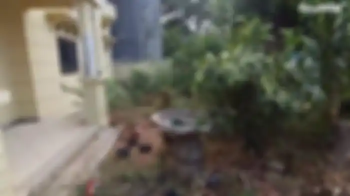 Kondisi rumah Tiko dan Bu Eny sekarang. 