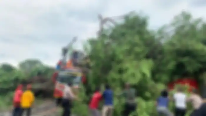 TUMBANG-Satu pohon beringin besar tumbang menimpa minibus setelah hujan disertai angin kencang melanda Kabupaten Wonogiri, Jawa Tengah, Jumat (19/1/2024) siang.  