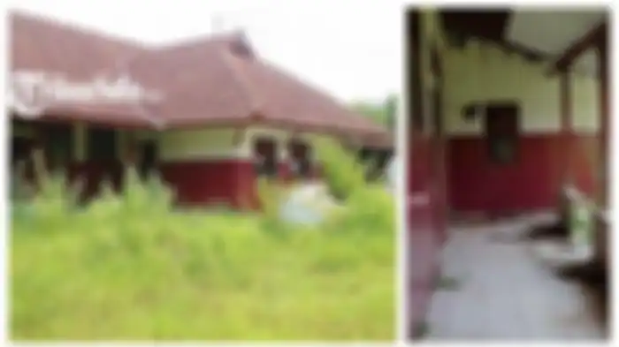 Potret bangunan terbengkalai SD Mulur 02, Kecamatan Bendosari, Sukoharjo, Jumat (26/1/2024). Kisah mistis gedung SD Negeri yang tak berpenghuni selama 20 tahun di Bendosari, Sukoharjo, Jawa Tengah. Misteri sosok tinggi hitam. 