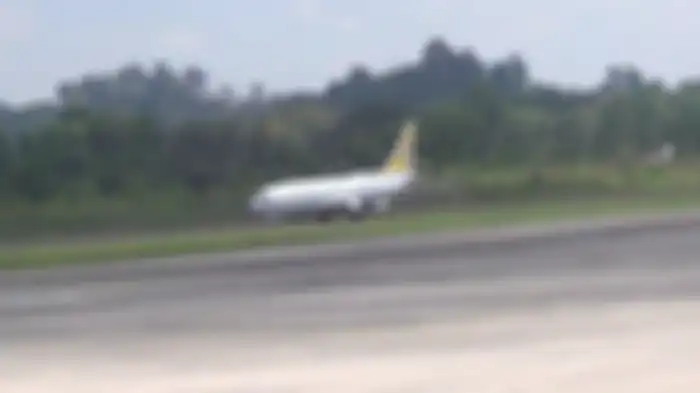 Pesawat Boeing 737 dikerahkan dari Skuadron Udara V Makassar dan membantu pencarian .