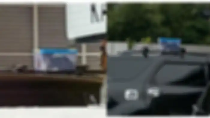 Seekor kucing dimasukkan ke dalam container box saat mudik.