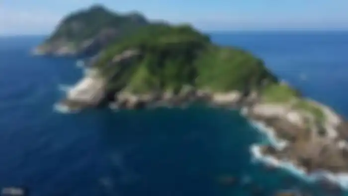 Pulau ular, Samudera Atlantik
