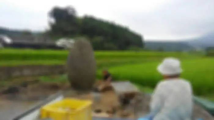 Halte bus Totoro buatan kakek nenek di Jepang
