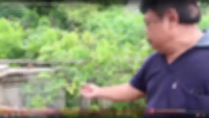 Rumah masa kecil Ria Ricis di Batam