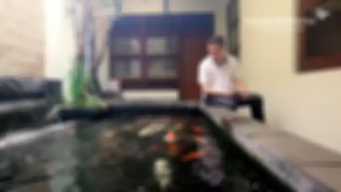 Kolam Renang di rumah maudy koesnaedi yang di penuhi ikan-ikan cantik