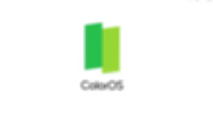 Logo ColorOS 11
