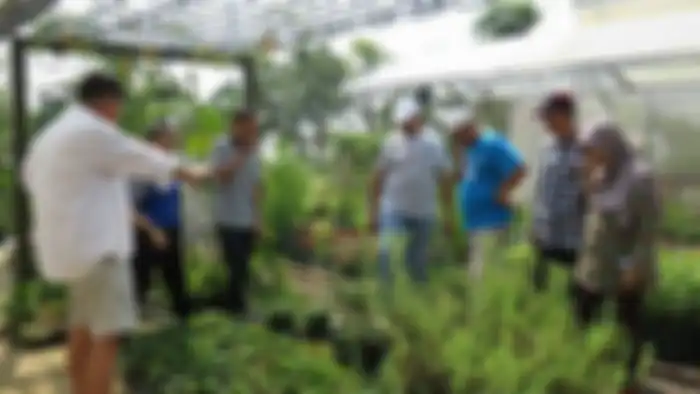 Kebun