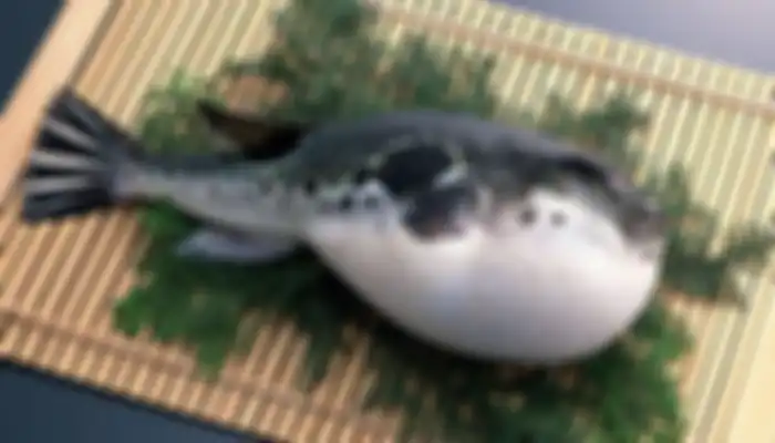 Ikan Fugu