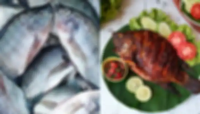 Ikan Mujair Diklaim Berbahaya Untuk Tubuh, Berikut 5 Alasannya!