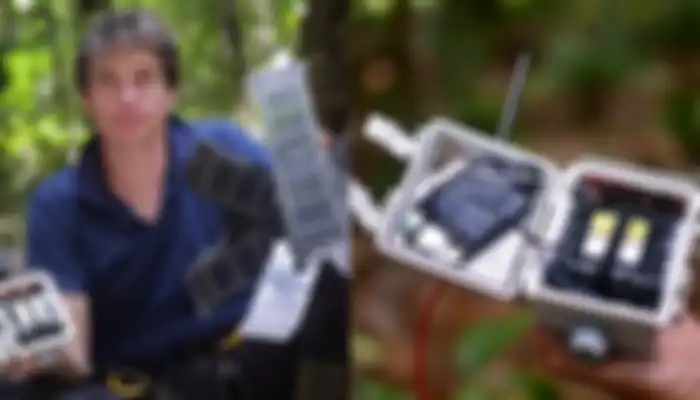 Bermodal Ponsel Bekas, Google AI Bantu Petugas Patroli Untuk Lindungi Hutan di Sumatera Barat