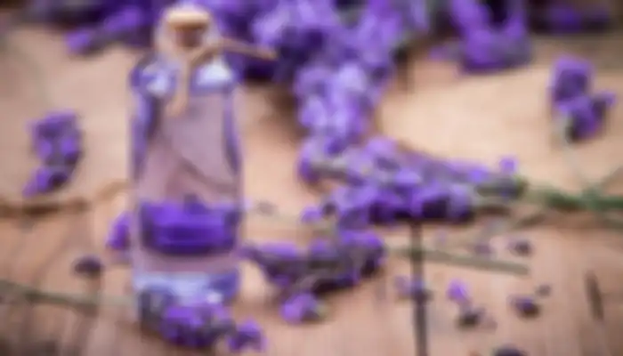 Minyak lavender