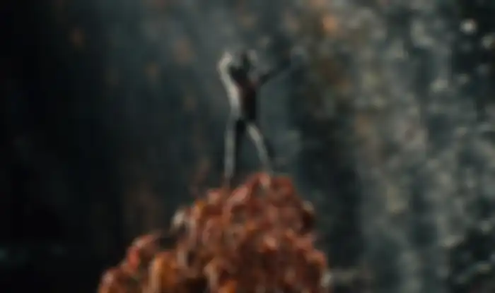Ant-Man